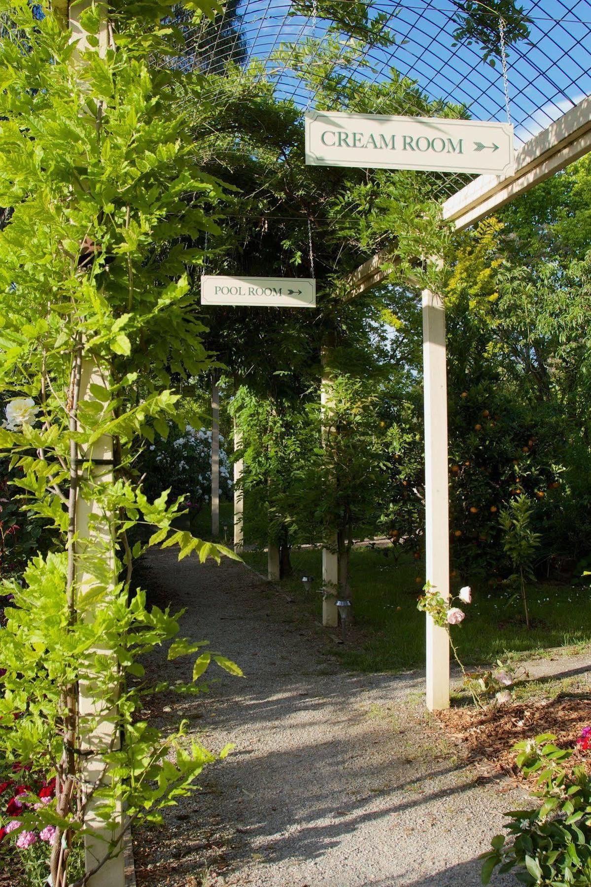 במוטל יארה גלן Holly Lane Mews מראה חיצוני תמונה